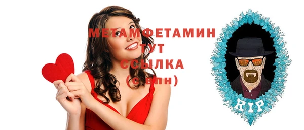 стаф Каменка