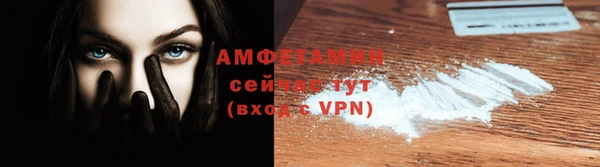стаф Каменка