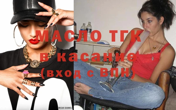 стаф Каменка