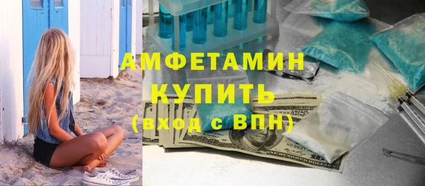 стаф Каменка