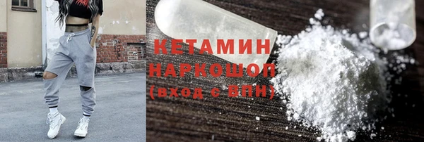 стаф Каменка