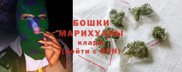 стаф Каменка