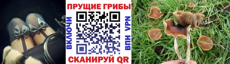 Галлюциногенные грибы Magic Shrooms  Купить где  Омск 