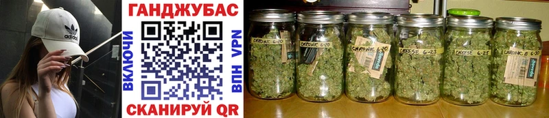 Бошки марихуана OG Kush  Купить закладки  Омск 